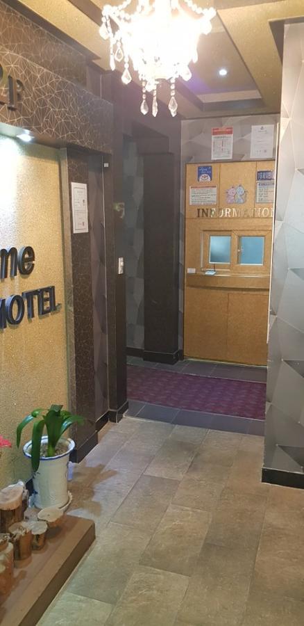 Cats Motel 江陵市 外观 照片